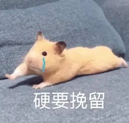 c(din)鿴DƬԴDƬ